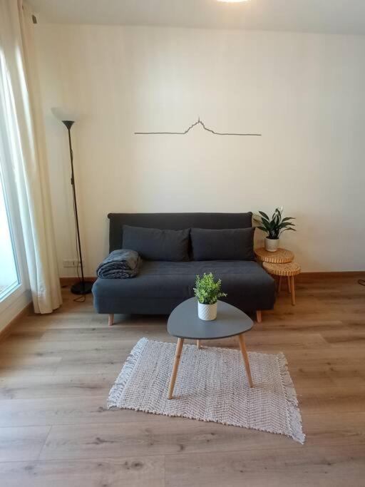 A 50 M De La Plage, Appartement De 35 M2 : Les Pieds Sales Bréhal Exteriér fotografie