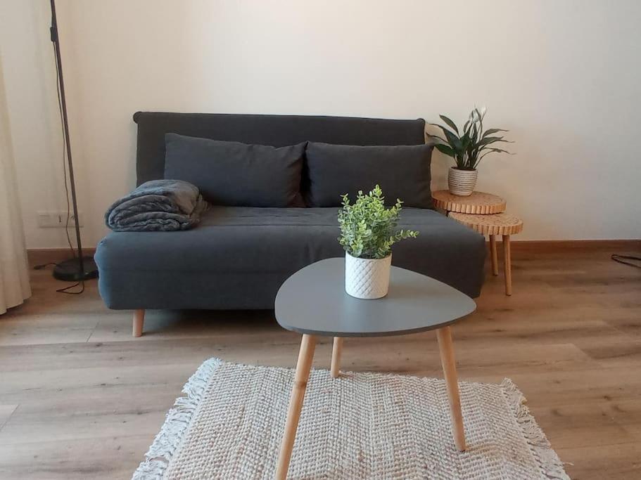 A 50 M De La Plage, Appartement De 35 M2 : Les Pieds Sales Bréhal Exteriér fotografie
